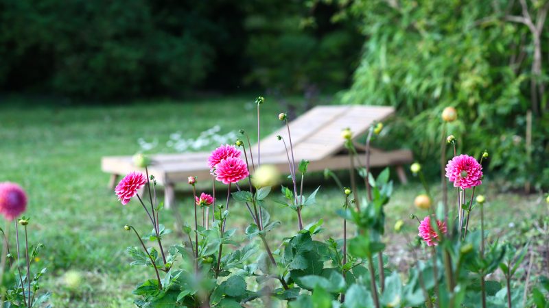 jardin